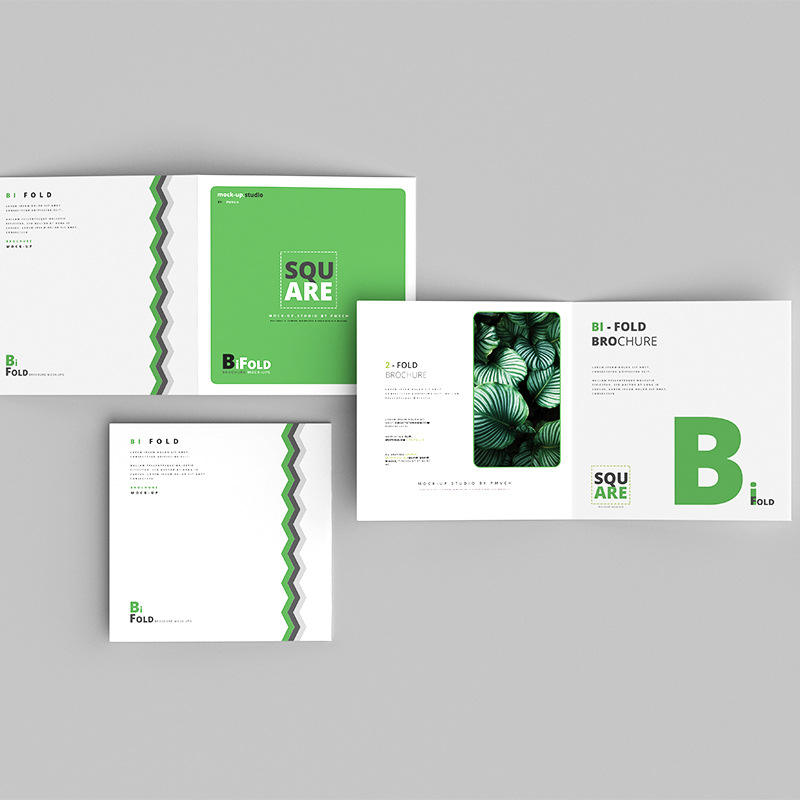 Custom Full Color Flyer Brochu - Commercial Printing Business recension och pris